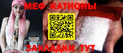 шишки Изобильный