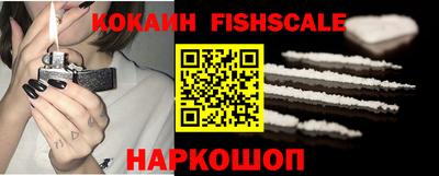 шишки Изобильный