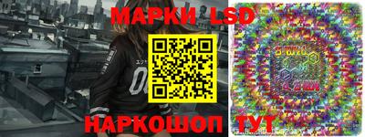 шишки Изобильный