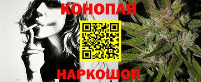 шишки Изобильный