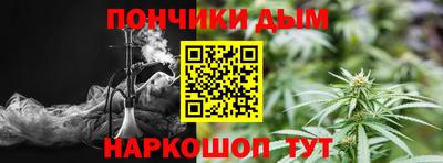 шишки Изобильный