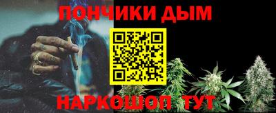 шишки Изобильный